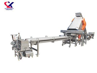 山西葡萄除梗粒选生产线