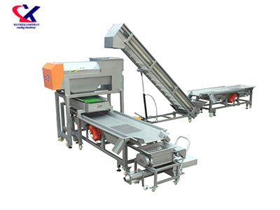 山西转筒式脱梗粒选生产线