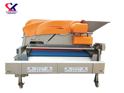 山西链板式葡萄除梗粒选机