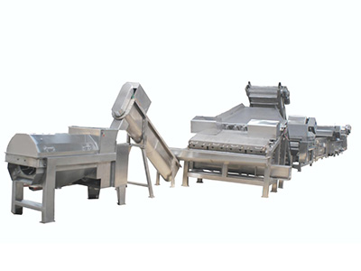 山西龙眼加工生产线