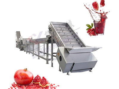 山西石榴果酒生产线