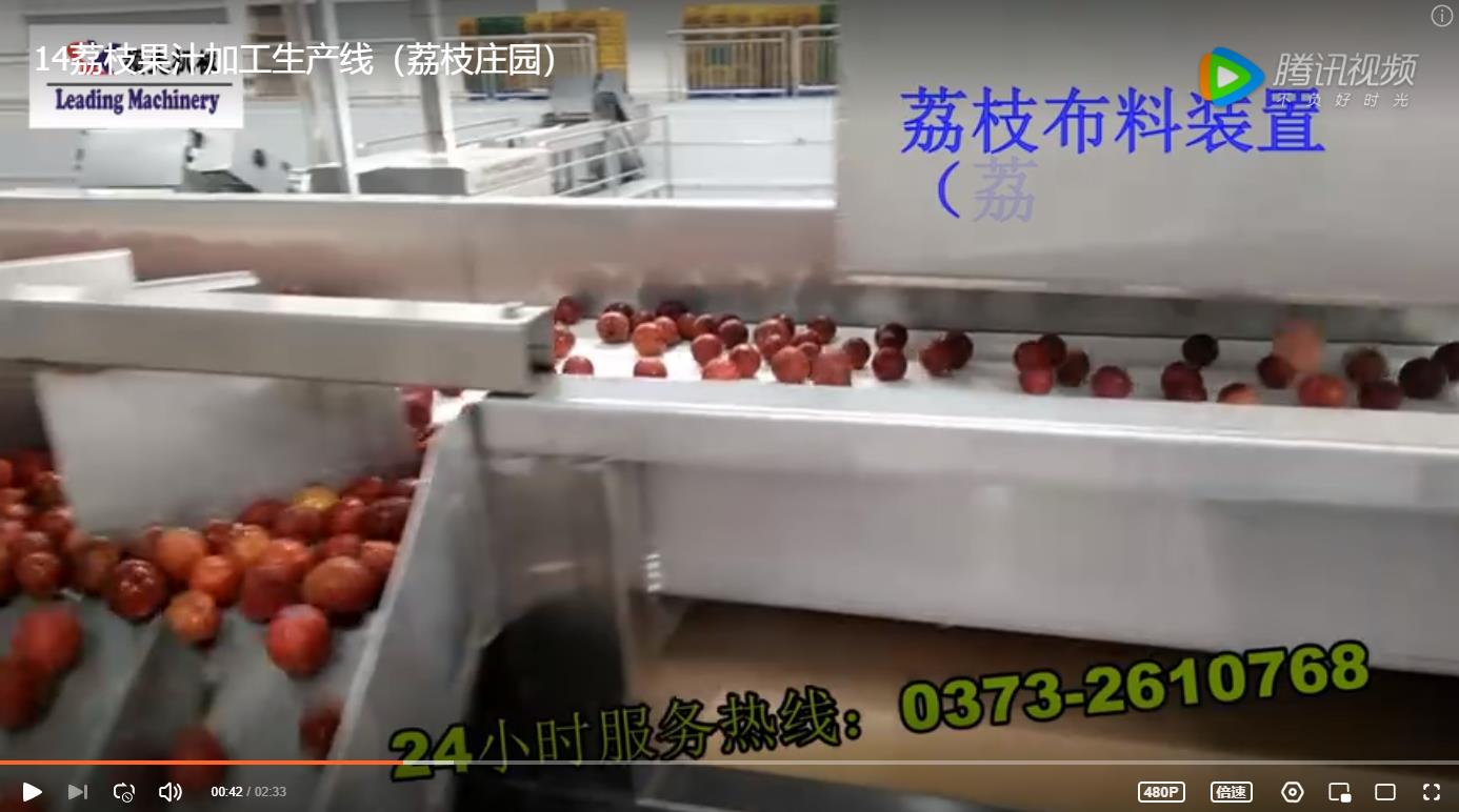 荔枝果汁加工生产线（荔枝庄园）